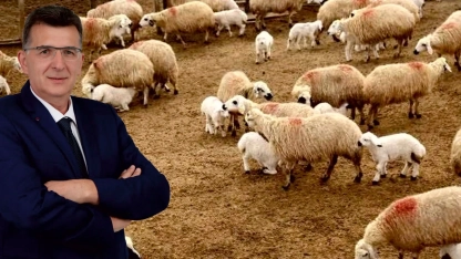 Burhan Baran’dan hayvancılık krizi için Meclis’e soru önergesi