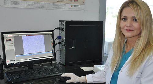 Türk bilim insanları sığırın kalp zarında kök hücre buldu