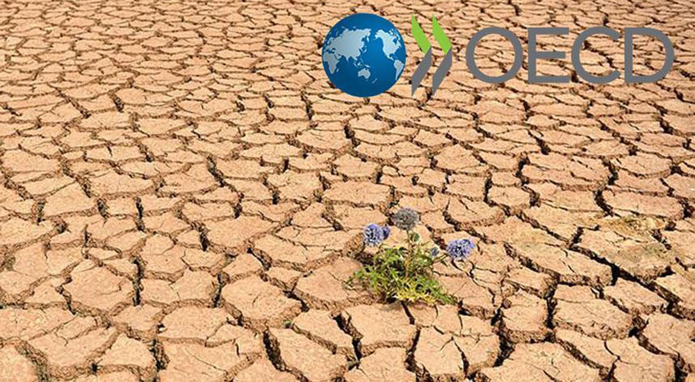 OECD'den küresel ısınma uyarısı