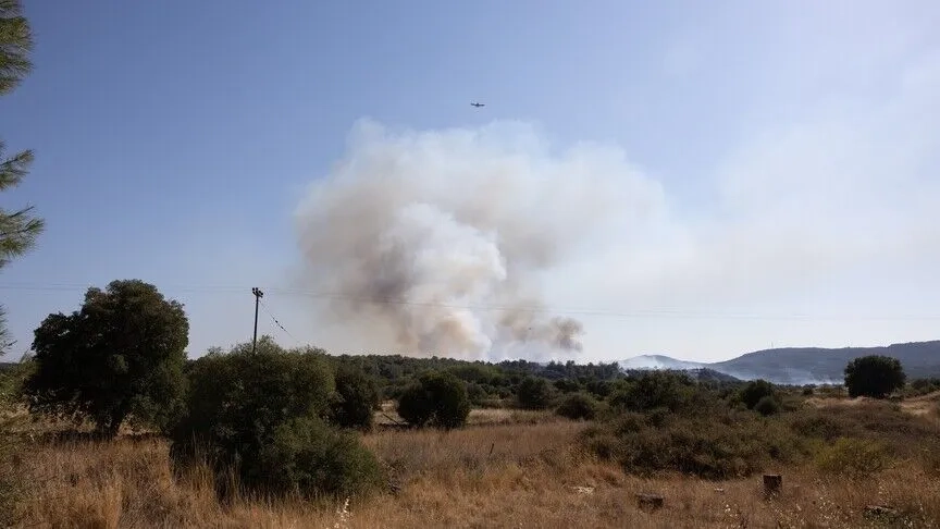 Tesalya ve Korint bölgelerinde orman yangını çıktı