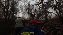 Midilli Adası'nda makilik alanda yangın çıktı