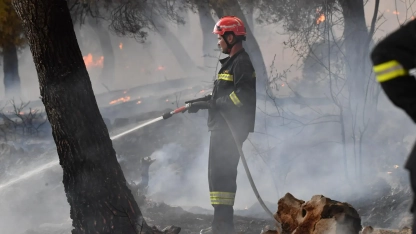 Sıcaklığın 40 dereceyi aştığı Yunanistan'da orman yangınları devam ediyor