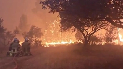 Selanik ili yakınlarındaki Derveni bölgesinde orman yangını çıktı