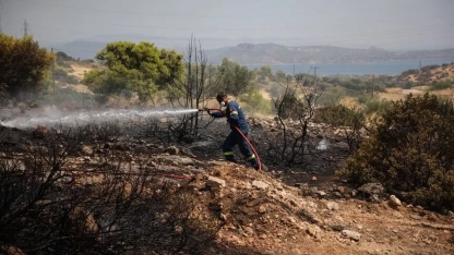 Yunanistan'ın Zakintos Adası'nda orman yangını çıktı