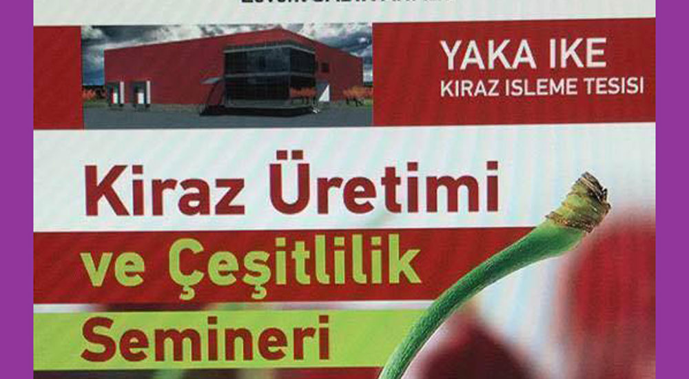 “Kiraz Üretimi ve Çeşitlilik” semineri düzenlenecek