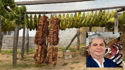  Zeybek tütüncülükteki gerilemenin tersine çevrilmesini istedi