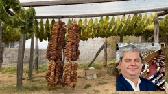  Zeybek tütüncülükteki gerilemenin tersine çevrilmesini istedi
