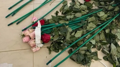 Güllerin içinden 84 kilo kokain çıktı