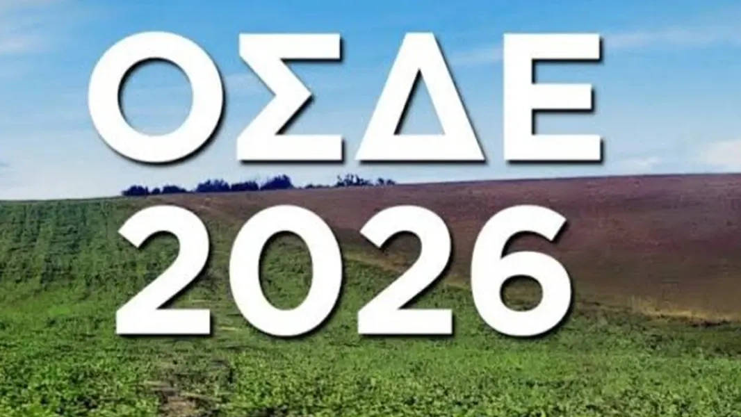 Trakya Tütün Üreticileri Kooperatifi'nden OSDE uyarısı
