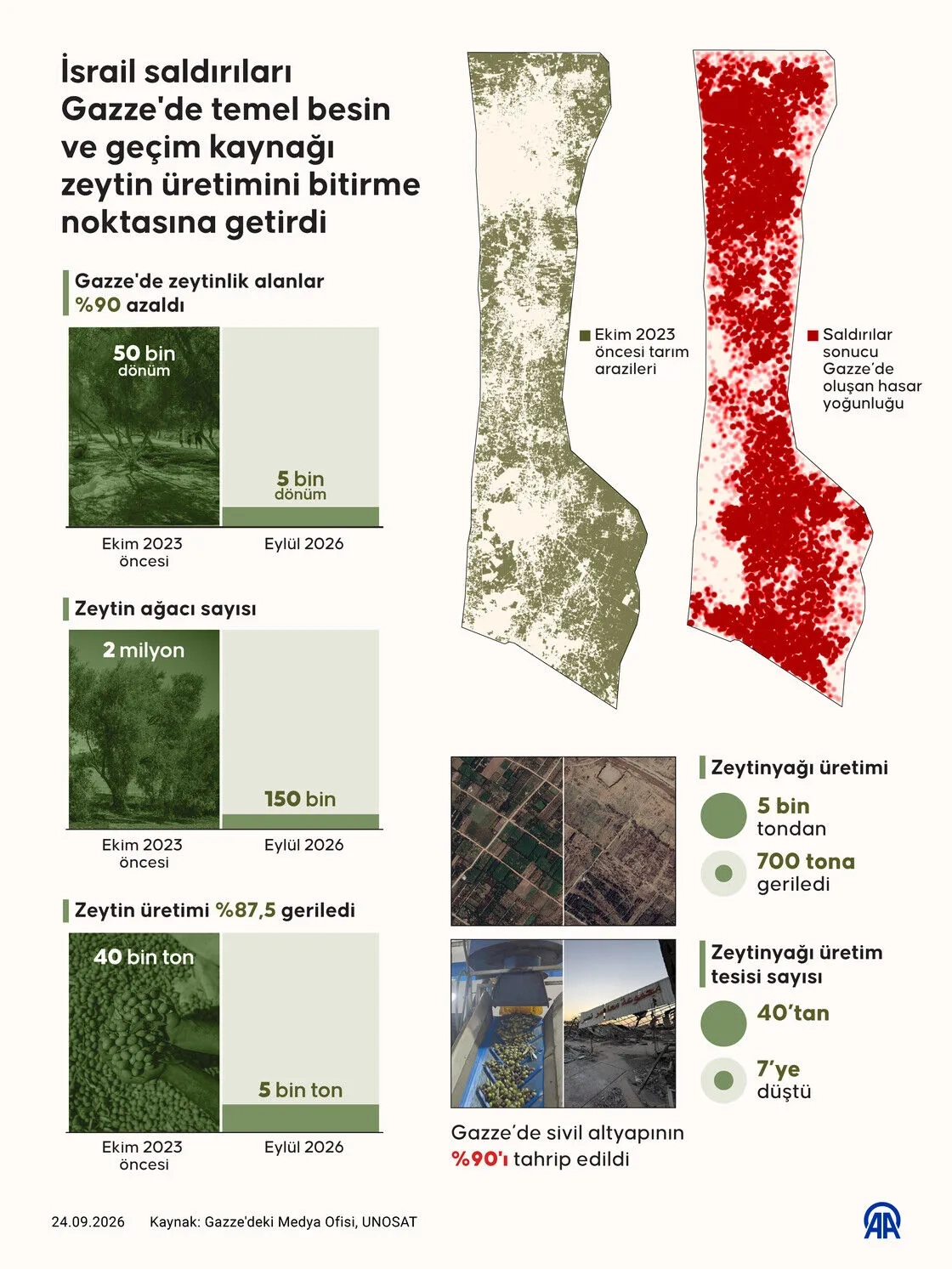 İsrail saldırıları Gazze'de temel besin ve geçim kaynağı zeytin üretimini bitirme noktasına getirdi