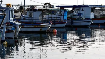 Balıkçılar grevde: Taze balık tezgahları boş kaldı