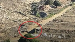 Kilimli adasında askeri helikopter sert iniş yaptı: Mürettebat kurtuldu