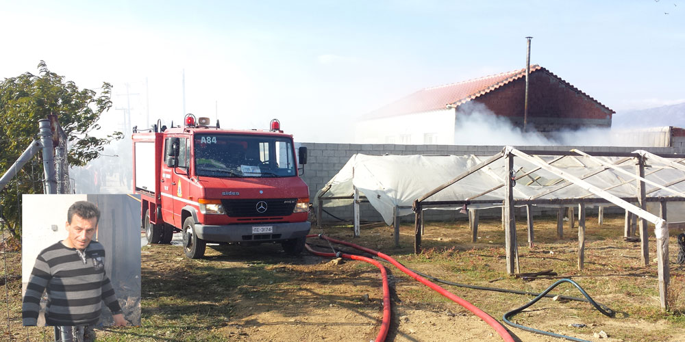 Harmanlık'ta çıkan yangın bir yıllık emeği kül etti