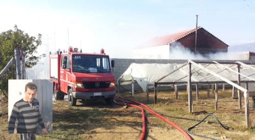 Harmanlık'ta çıkan yangın bir yıllık emeği kül etti