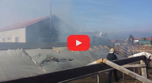 VİDEO | Gümülcine'nin Harmanlık mahallesinde yangın çıktı