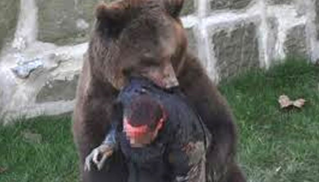 İskeçe'de bir vatandaşa ayı saldırdı