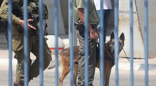 İsrail'den Filistinli çocuğa 12 yıl hapis