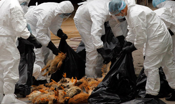 Ölümcül virüs yeniden ortaya çıktı ve hızla yayılıyor