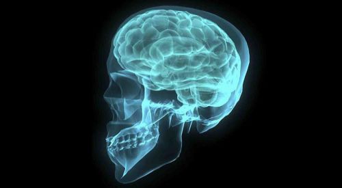 Orta yaş kadınların hafızası erkeklerden daha güçlü