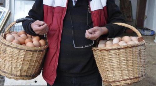 Yumurta üretiminde bulduğu yöntemle verim 5 kat arttı, siparişlere yetişemiyor!