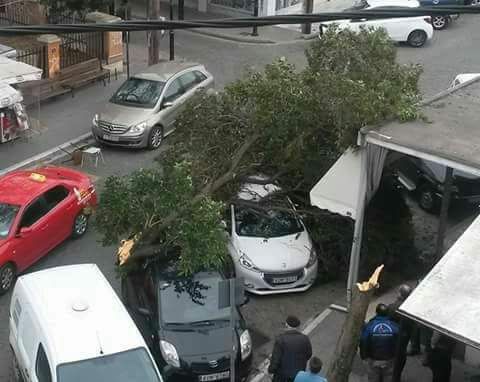 Şiddetli rüzgar Batı Trakya'da etkili olmaya devam ediyor