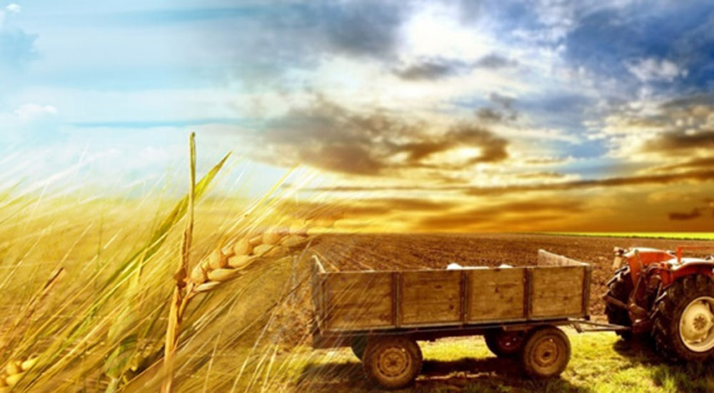 Soydaşlarımıza yönelik tarım ve hayvancılık seminerleri başladı