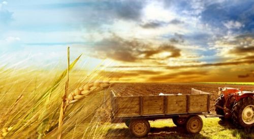 Soydaşlarımıza yönelik tarım ve hayvancılık seminerleri başladı