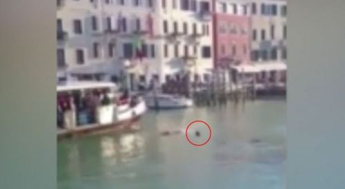 Avrupa'da insanlık öldü! Kanalda boğulan göçmene yardım etmediler