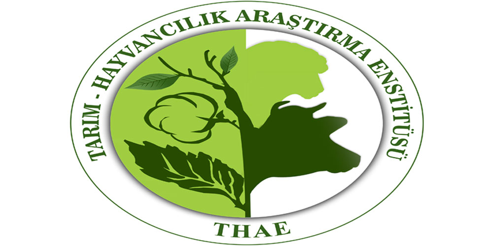 Enstitü GTGB ve İTB’de sunum yapacak