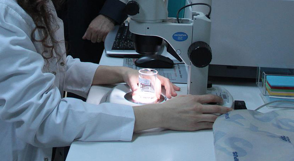 'Ailesinde kolon kanseri olanlar taramadan geçmeli'