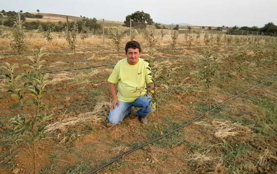 Azınlıkta alternatif ürünlere yönelenlerin sayısı artıyor