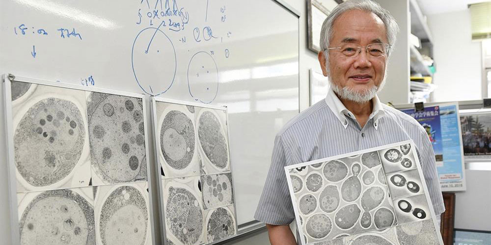 Japon bilim adamı Ohsumi'den oruç tespiti
