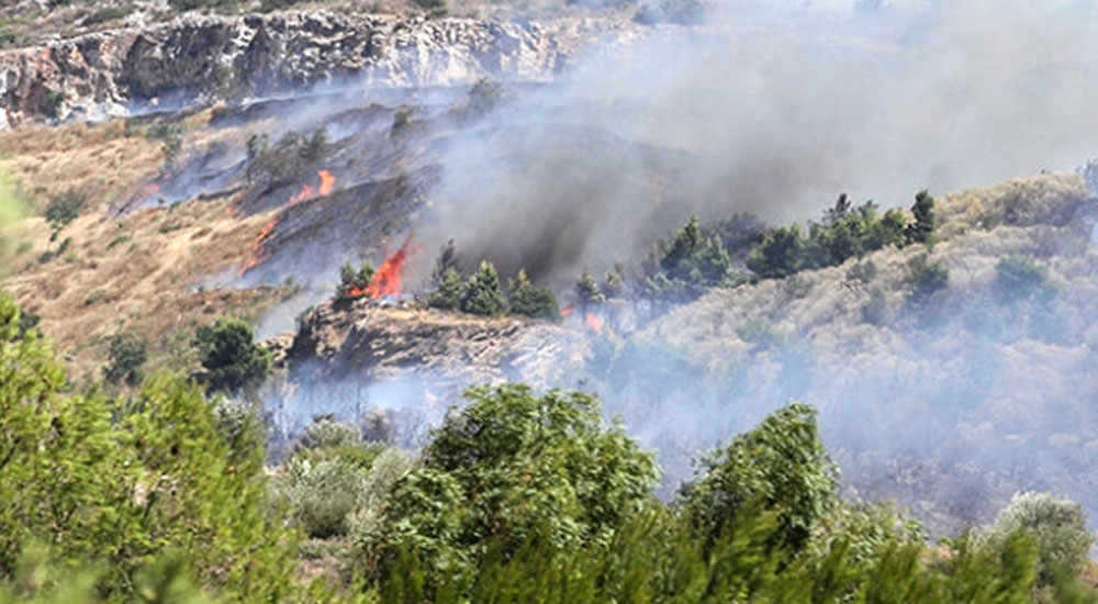 Mora Yarımadası'ndaki orman yangını zarara neden oldu