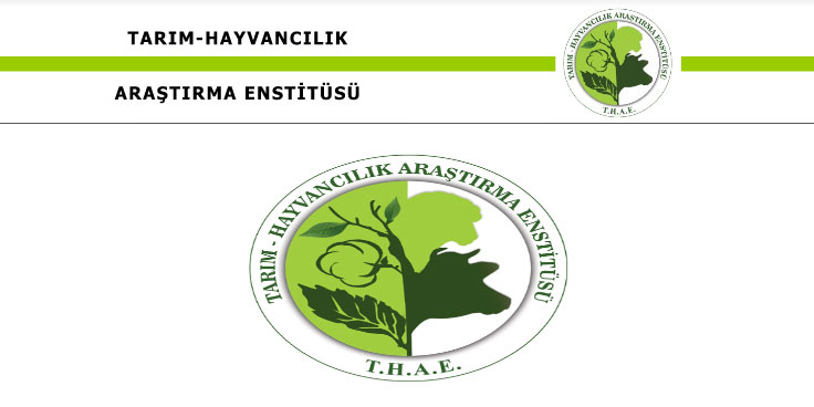 Enstitünün yeşil kurt uyarıları devam ediyor