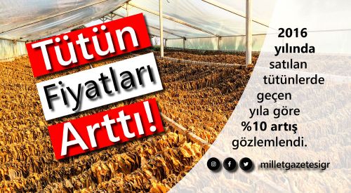 Tütün Fiyatları Arttı!