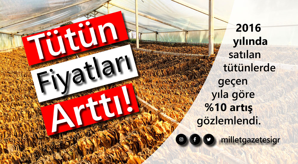 Tütün Fiyatları Arttı!