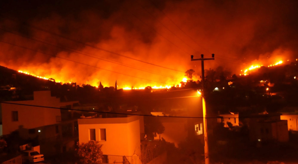42 kişinin yanarak can verdiği Elia'da orman yangını
