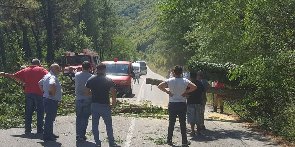 İskeçe'de seyir halindeki aracın üzerine ağaç devrildi