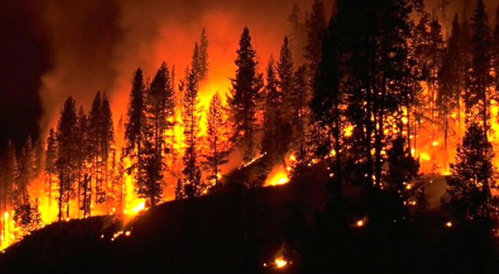 Zakinthos Adası yanıyor
