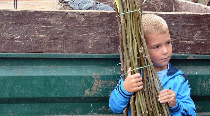 Türkiye'den Bosna'daki ailelere ceviz fidesi desteği