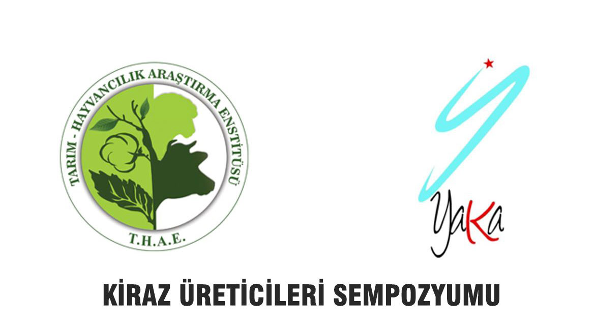 Kiraz üreticileri için kiraz sempozyumu düzenleniyor