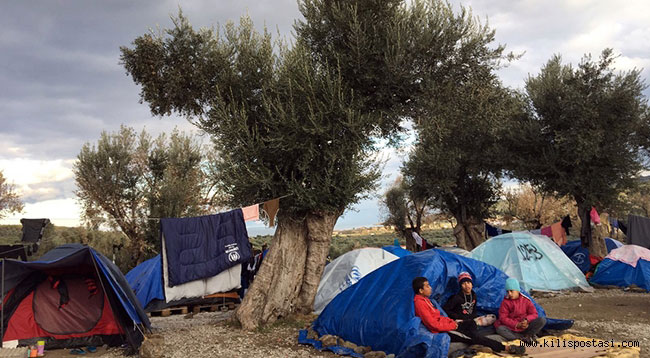 Yunan adalarında insani kriz kapıda