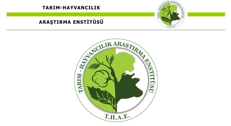 T.H.A.E yeni yönetim kurulu belirlendi