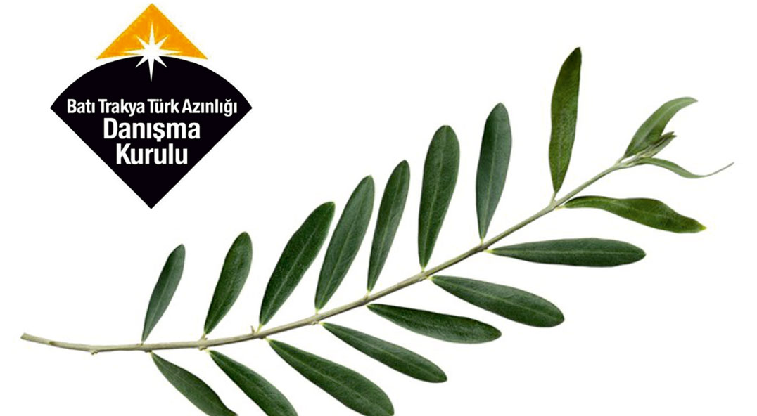 Batı Trakya Türklerinden "Zeytin Dalı Harekatı"na destek